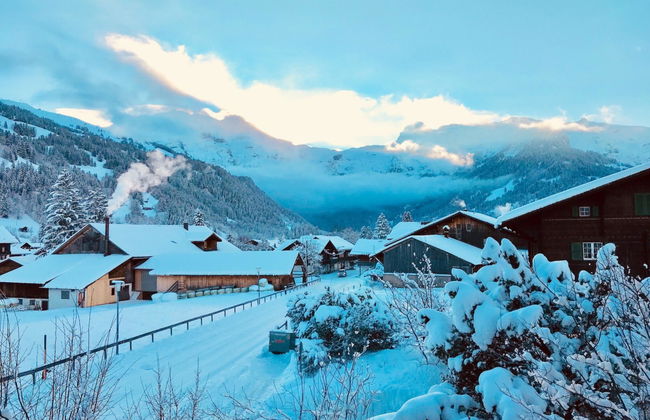 Apartamento de 1 quarto em Lenk - Foto 9
