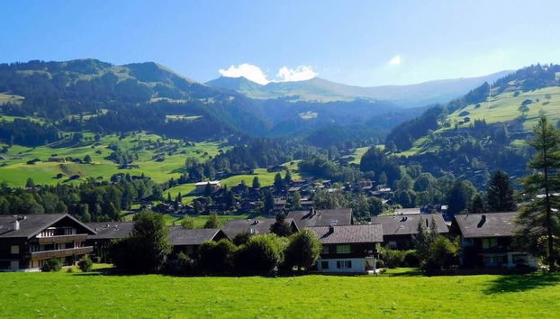 Apartamento de 1 quarto em Lenk - Foto 4