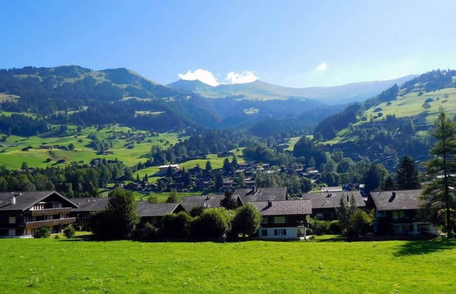 Apartamento de 1 quarto em Lenk - Foto 4