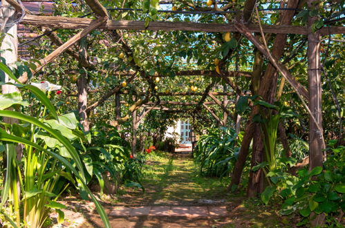 Foto 18 - Appartamento con 1 camera da letto a Massa Lubrense con giardino e terrazza