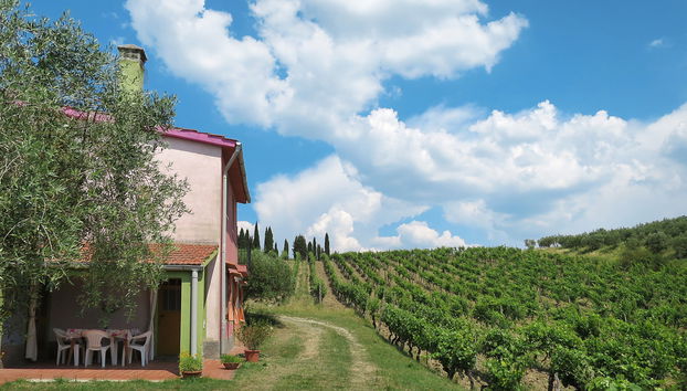 Haus mit 5 Schlafzimmern in Certaldo mit schwimmbad und garten - Foto 2