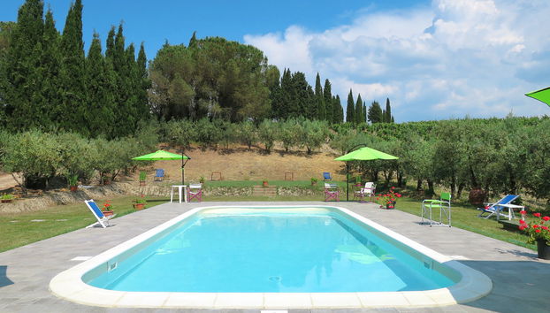 Haus mit 5 Schlafzimmern in Certaldo mit schwimmbad und garten - Foto 3