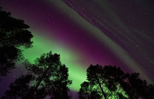 Haus mit 3 Schlafzimmern in Inari mit sauna - Foto 34