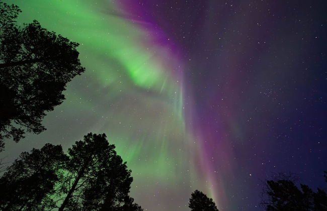 Haus mit 3 Schlafzimmern in Inari mit sauna - Foto 32