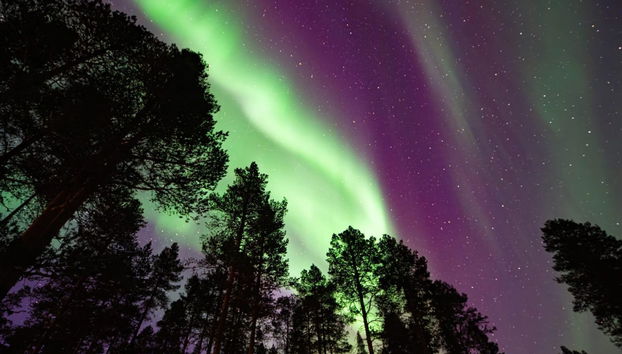 Haus mit 3 Schlafzimmern in Inari mit sauna - Foto 4