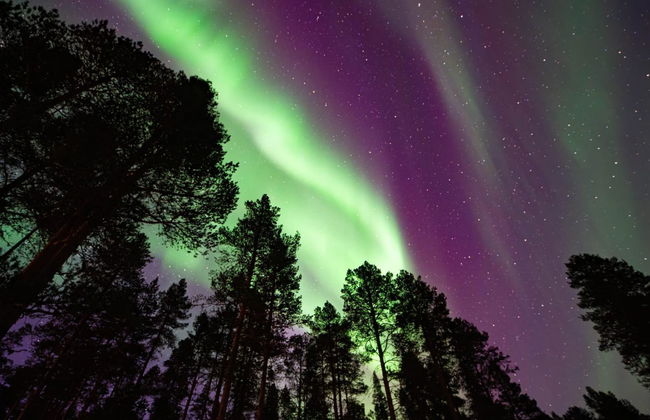 Haus mit 3 Schlafzimmern in Inari mit sauna - Foto 4