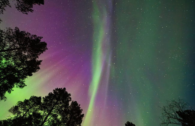 Haus mit 3 Schlafzimmern in Inari mit sauna - Foto 33