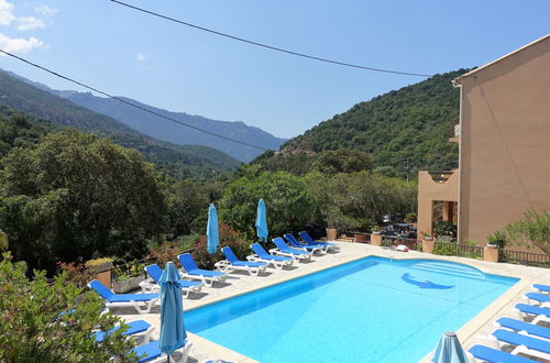 Photo 4 - Appartement de 2 chambres à Serriera avec piscine et terrasse