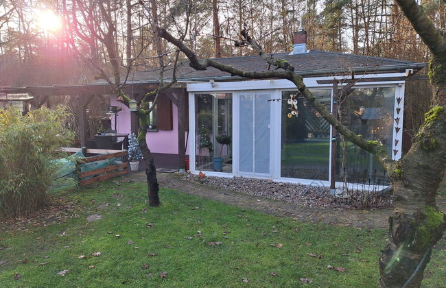 1 bedroom House in Wandlitz with garden and terrace - Photo 21