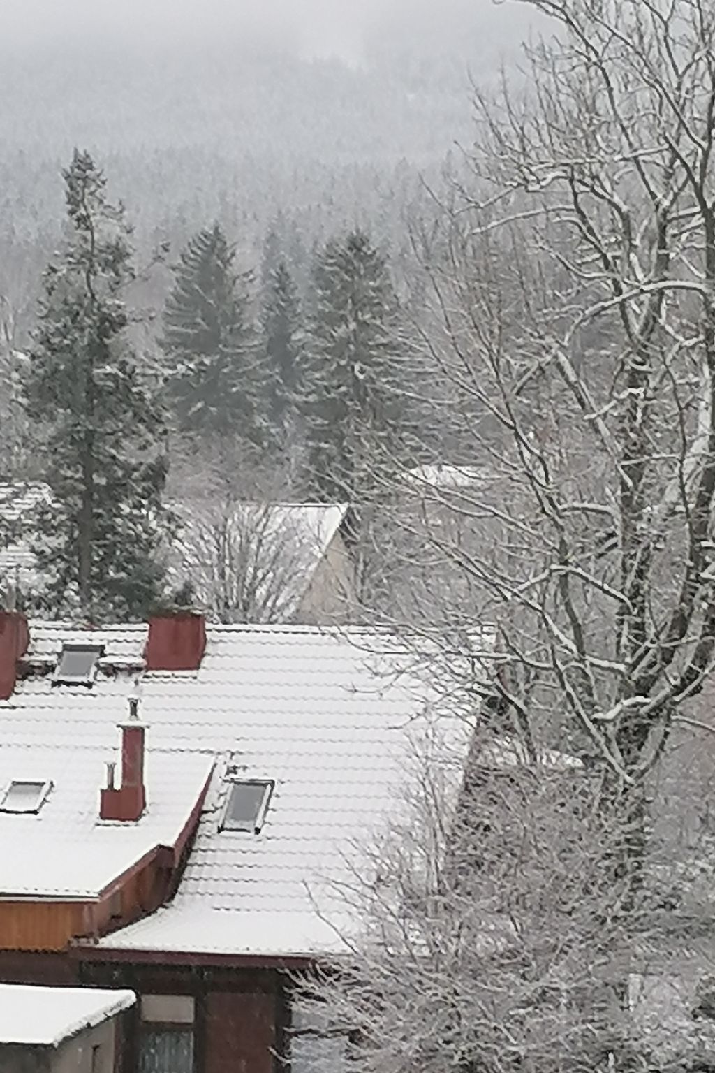 Foto 15 - Appartamento con 2 camere da letto a Szklarska Poręba con vista sulle montagne