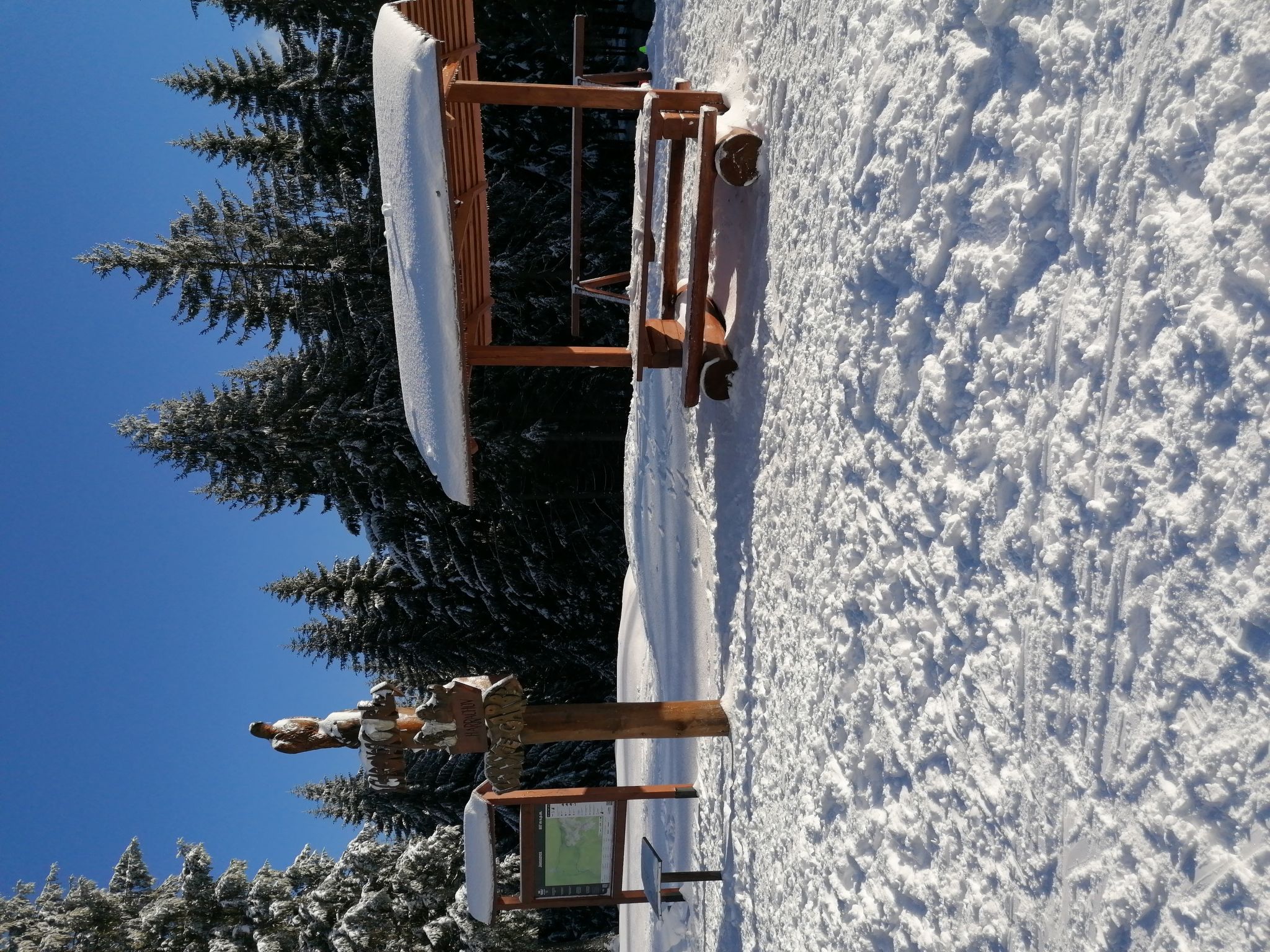 Foto 19 - Appartamento con 2 camere da letto a Szklarska Poręba con giardino