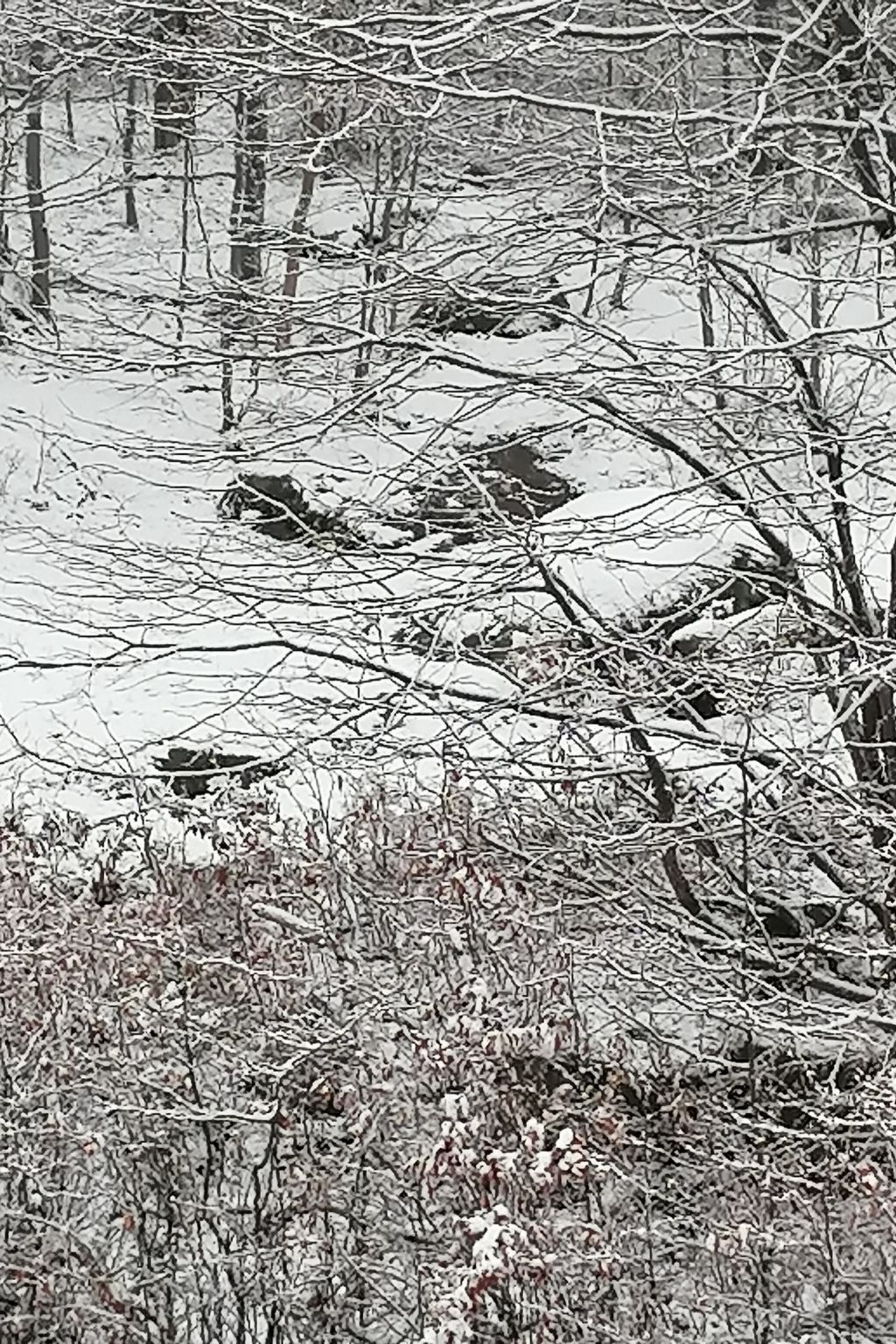 Foto 16 - Appartamento con 2 camere da letto a Szklarska Poręba con vista sulle montagne