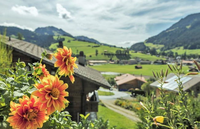 Apartment mit 1 Schlafzimmer in Zweisimmen - Foto 9