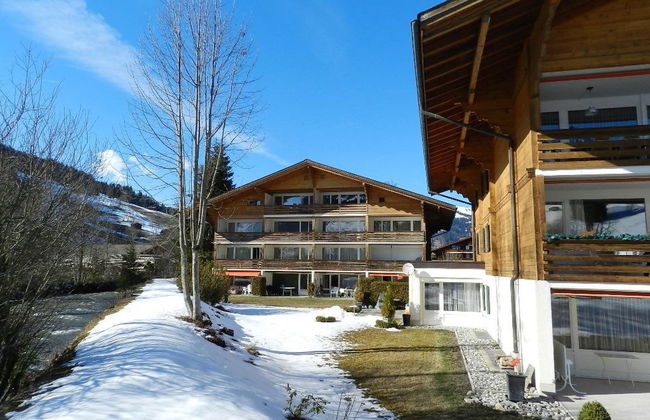 Apartamento de 1 quarto em Saanen - Foto 3