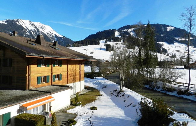 Apartamento de 1 quarto em Saanen - Foto 8