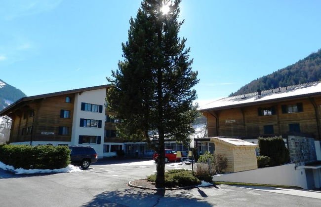 Apartamento de 1 quarto em Saanen - Foto 14