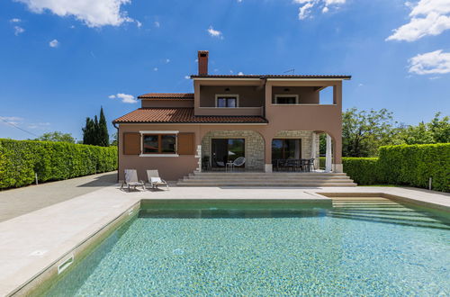 Photo 42 - Maison de 3 chambres à Sveti Petar u Šumi avec piscine privée et jardin