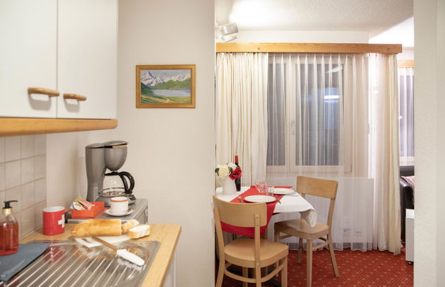 Apartamento de 1 quarto em Grindelwald com jardim - Foto 2
