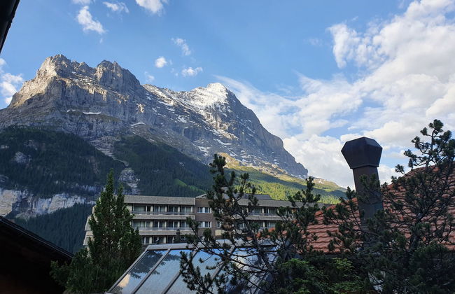 Apartamento de 1 quarto em Grindelwald com jardim - Foto 1