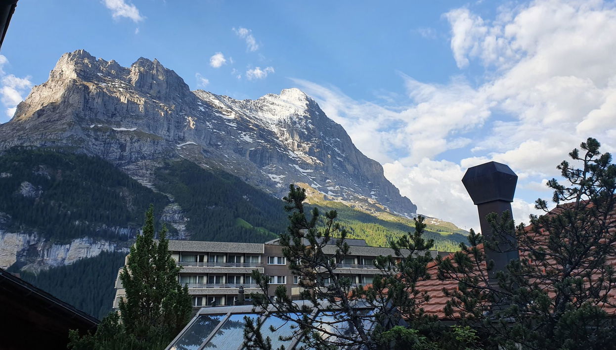 Apartment mit 1 Schlafzimmer in Grindelwald mit garten - Foto 1