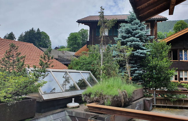 Apartamento de 1 quarto em Grindelwald com jardim - Foto 6