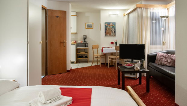 Apartment mit 1 Schlafzimmer in Grindelwald mit garten - Foto 3
