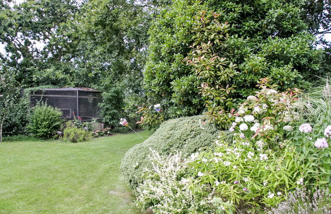 Apartamento de 3 quartos em Wissenkerke com jardim - Foto 24
