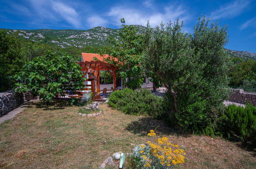 Photo 30 - Appartement de 1 chambre à Karlobag avec piscine et jardin