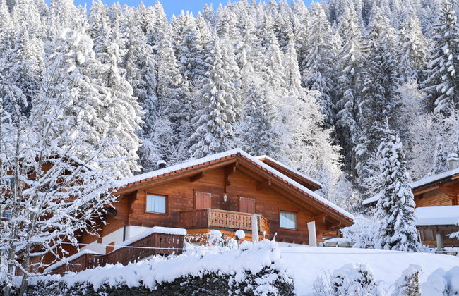 Chalet Petit Pont - Foto 53