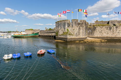 Foto 25 - Appartamento con 2 camere da letto a Concarneau con vista mare