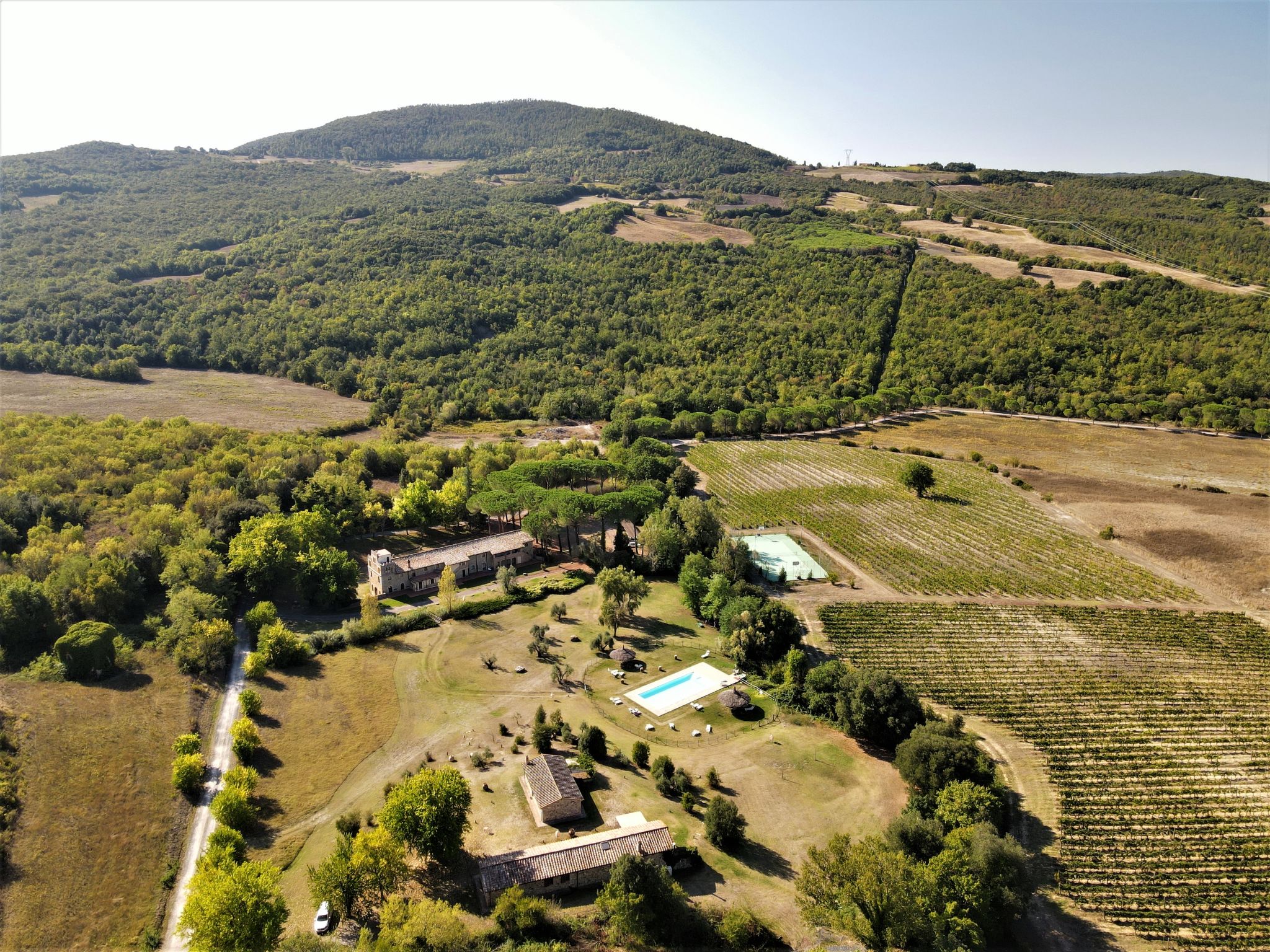 Foto 20 - Casa con 2 camere da letto a Monteverdi Marittimo con piscina e giardino