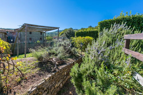 Foto 49 - Appartamento con 2 camere da letto a Greve in Chianti con piscina e giardino