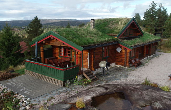 Casa de 3 quartos em Åmli com terraço - Foto 22