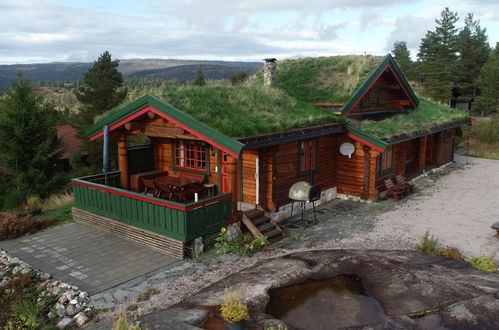 Photo 31 - Maison de 3 chambres à Åmli avec terrasse