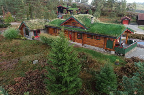 Photo 30 - Maison de 3 chambres à Åmli avec terrasse