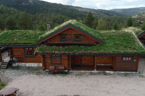 Photo 28 - Maison de 3 chambres à Åmli avec terrasse