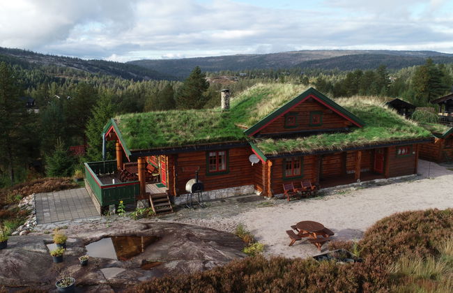 Casa de 3 quartos em Åmli com terraço - Foto 1
