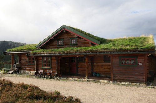 Foto 20 - Casa de 3 quartos em Åmli com terraço