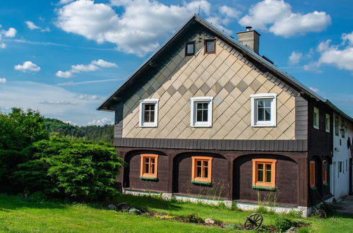 Foto 6 - Casa con 3 camere da letto a Kámen con piscina privata e giardino