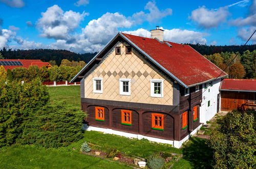 Foto 32 - Casa de 3 quartos em Kámen com piscina privada e jardim