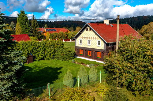 Foto 30 - Casa de 3 quartos em Kámen com piscina privada e jardim