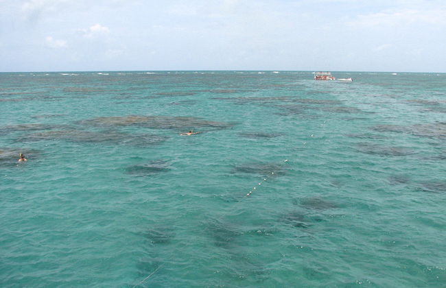 Maracajau Parrachos Reef – Mask and Snorkel Swim - Photo 3