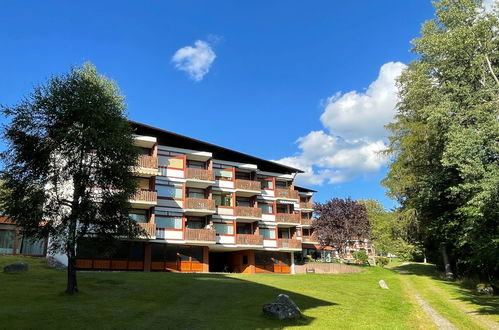 Photo 8 - 1 bedroom Apartment in Schluchsee with garden and mountain view