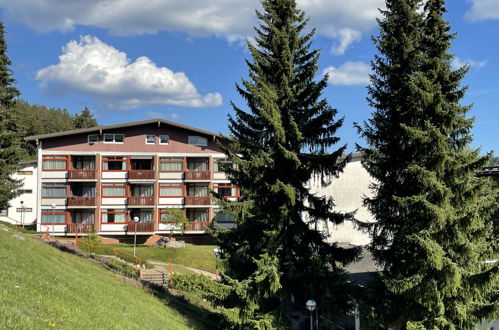 Photo 17 - 1 bedroom Apartment in Schluchsee with garden and mountain view