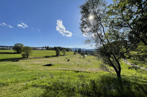 Foto 6 - Appartamento a Schluchsee con piscina e vista sulle montagne