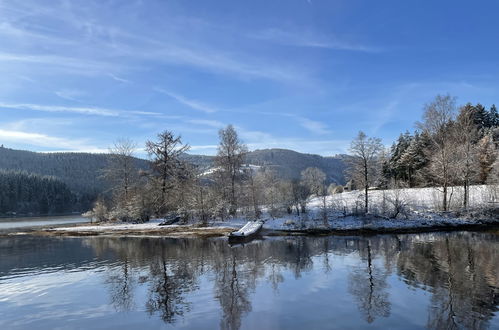 Photo 37 - Appartement en Schluchsee avec piscine et vues sur la montagne