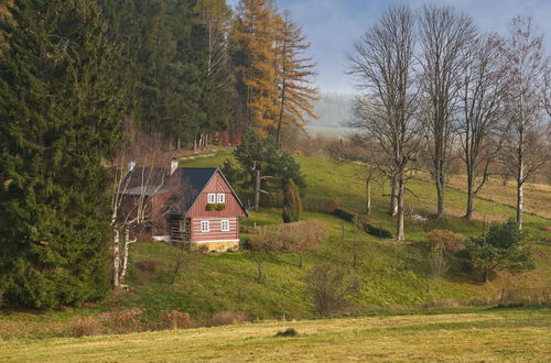 Foto 49 - Casa con 2 camere da letto a Teplice nad Metují con giardino