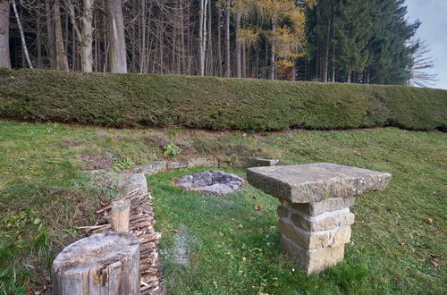 Photo 27 - Maison de 2 chambres à Teplice nad Metují avec jardin