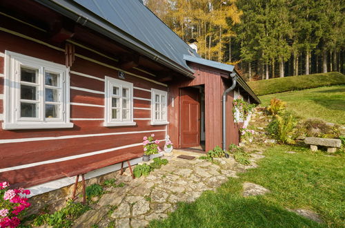 Foto 12 - Casa con 2 camere da letto a Teplice nad Metují con giardino