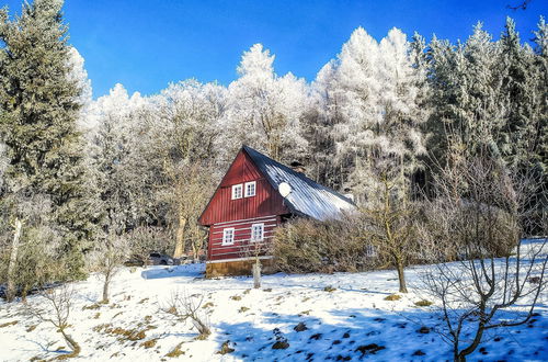 Foto 53 - Casa con 2 camere da letto a Teplice nad Metují con giardino